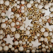 Imagem de Confeitos Sprinkles WG 60g - MORELLO